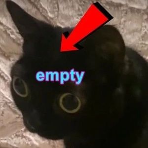 Meet your Posher, Autumn